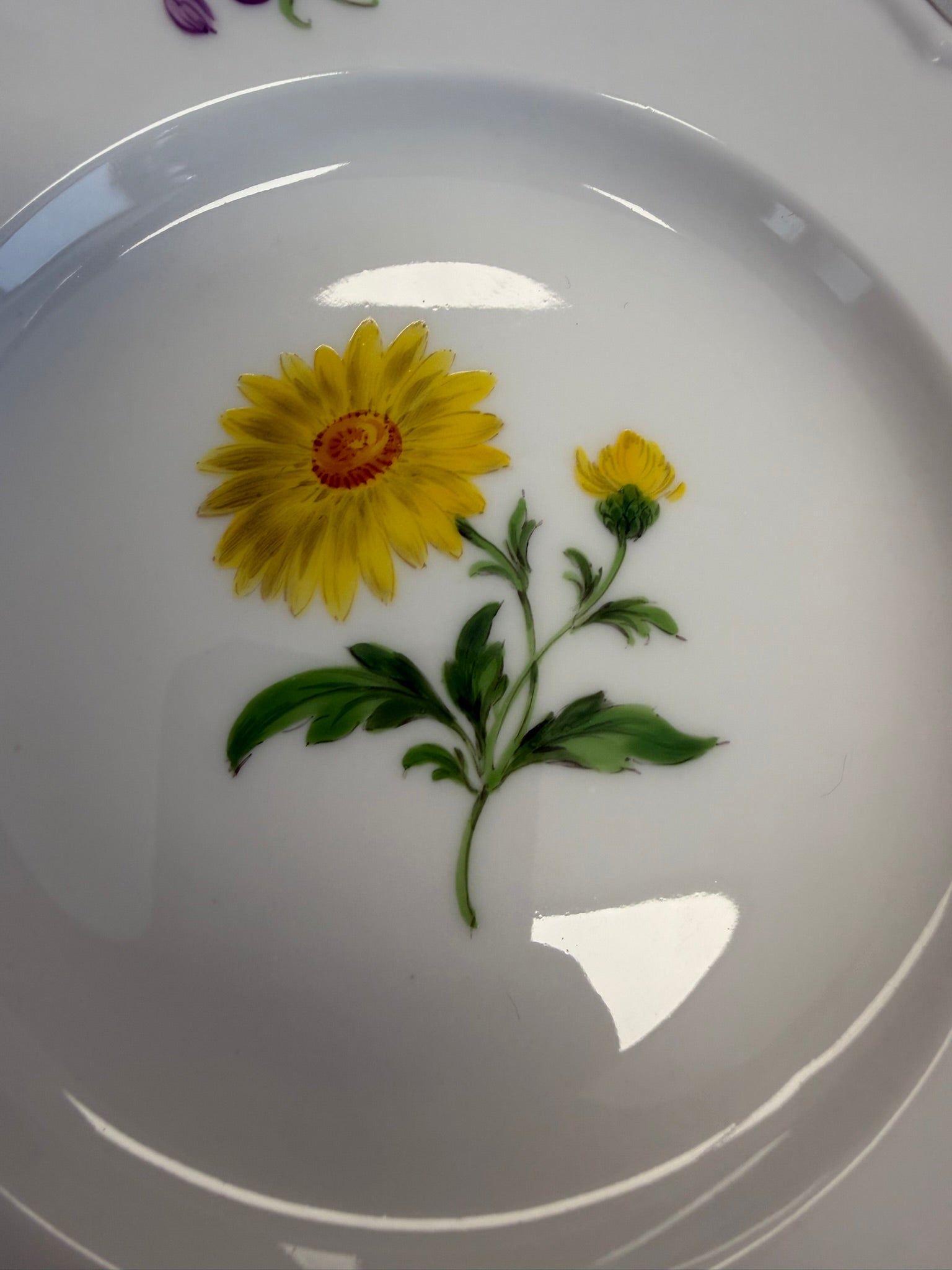 Meissen Kaffeetasse mit Untertasse Porzellan, gelbe Blume Blumendekor handbemalt mit Goldrand