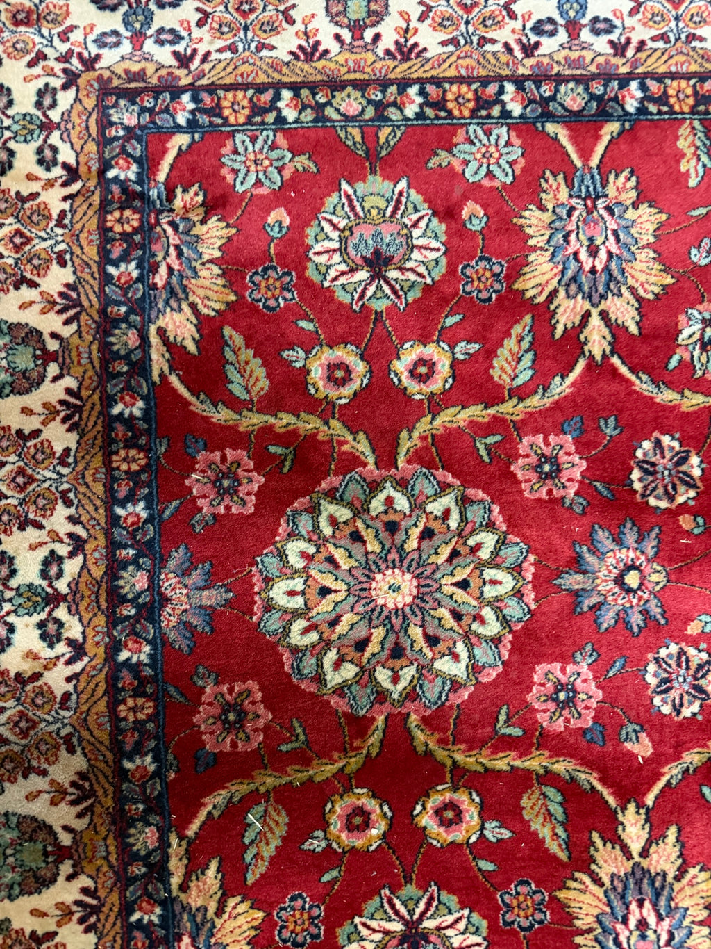 Teppich im Orientdesign, Wolle, rot mit beiger Bordüre, 310 x 197 cm