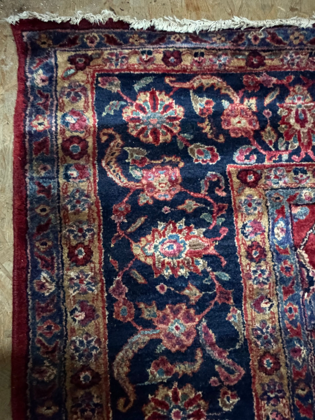 Teppich Wolle, rot mit dunkelblauer Bordüre, Sarough-Muster, 261 x 346 cm