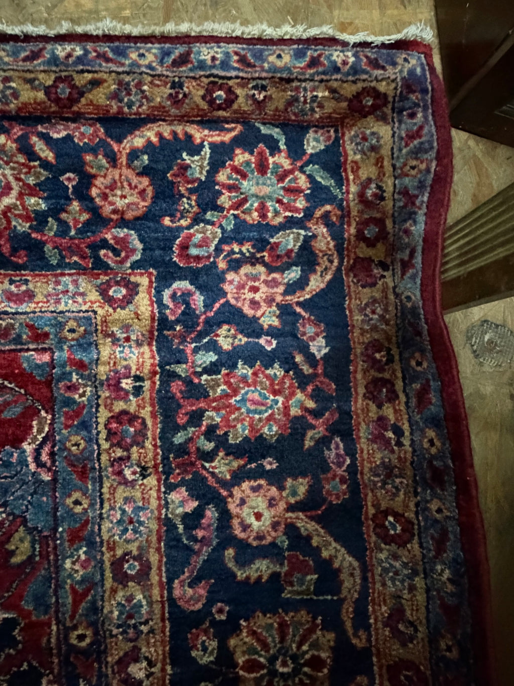 Teppich Wolle, rot mit dunkelblauer Bordüre, Sarough-Muster, 261 x 346 cm