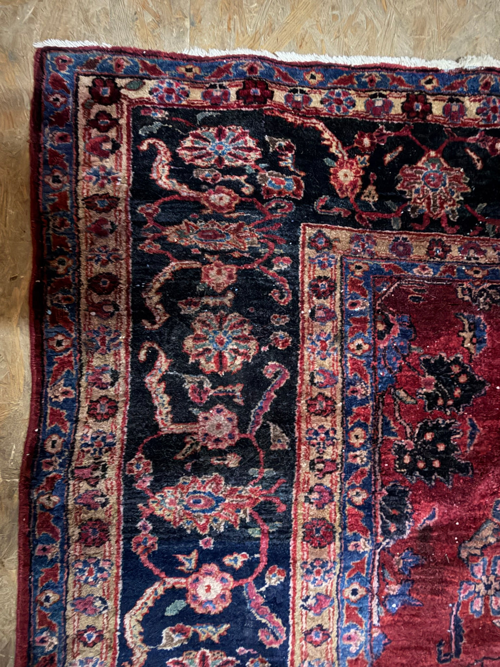 Teppich Wolle, rot mit dunkelblauer Bordüre, Sarough-Muster, 261 x 346 cm