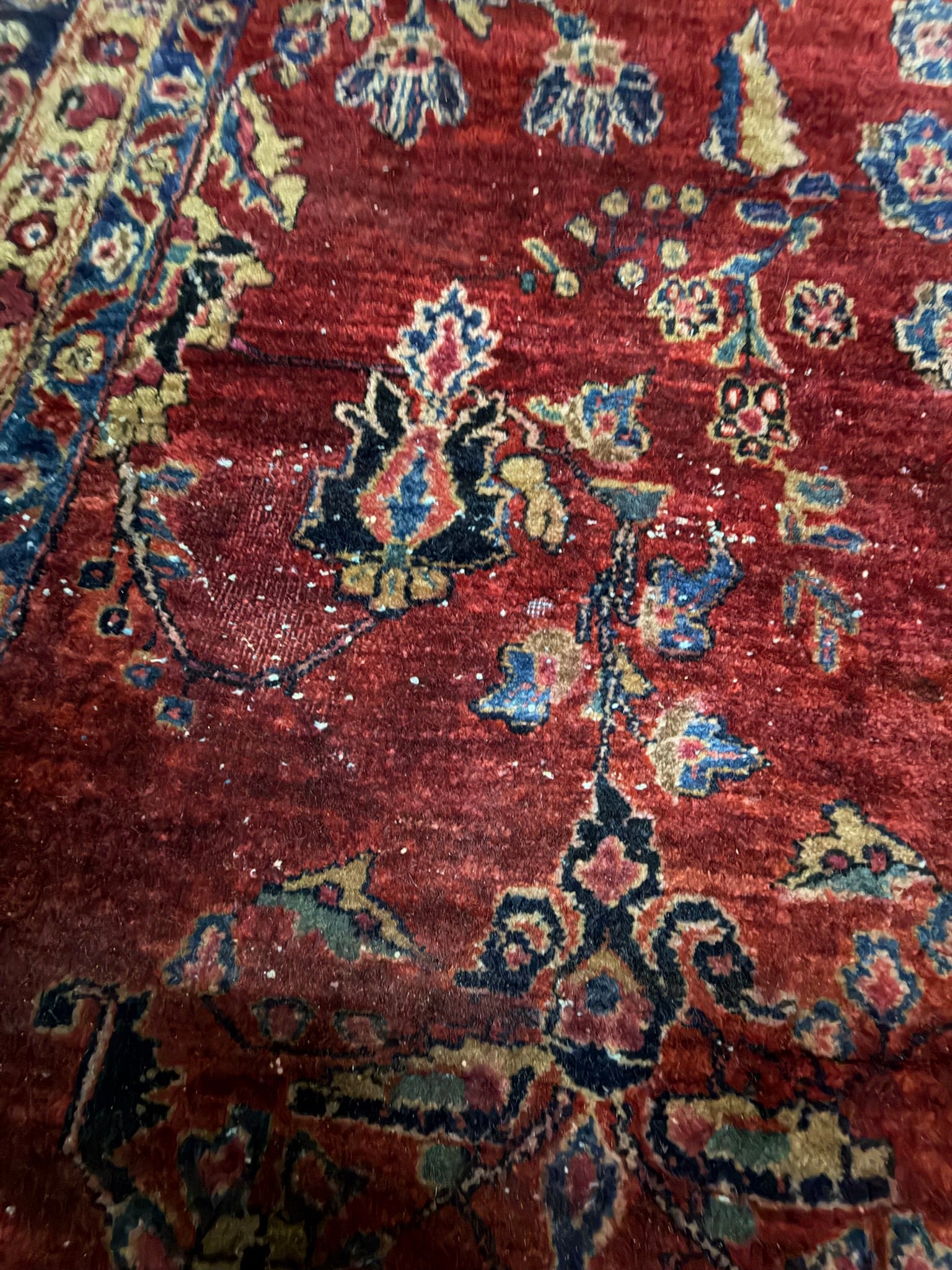 Teppich Wolle, rot mit dunkelblauer Bordüre, Sarough-Muster, 261 x 346 cm