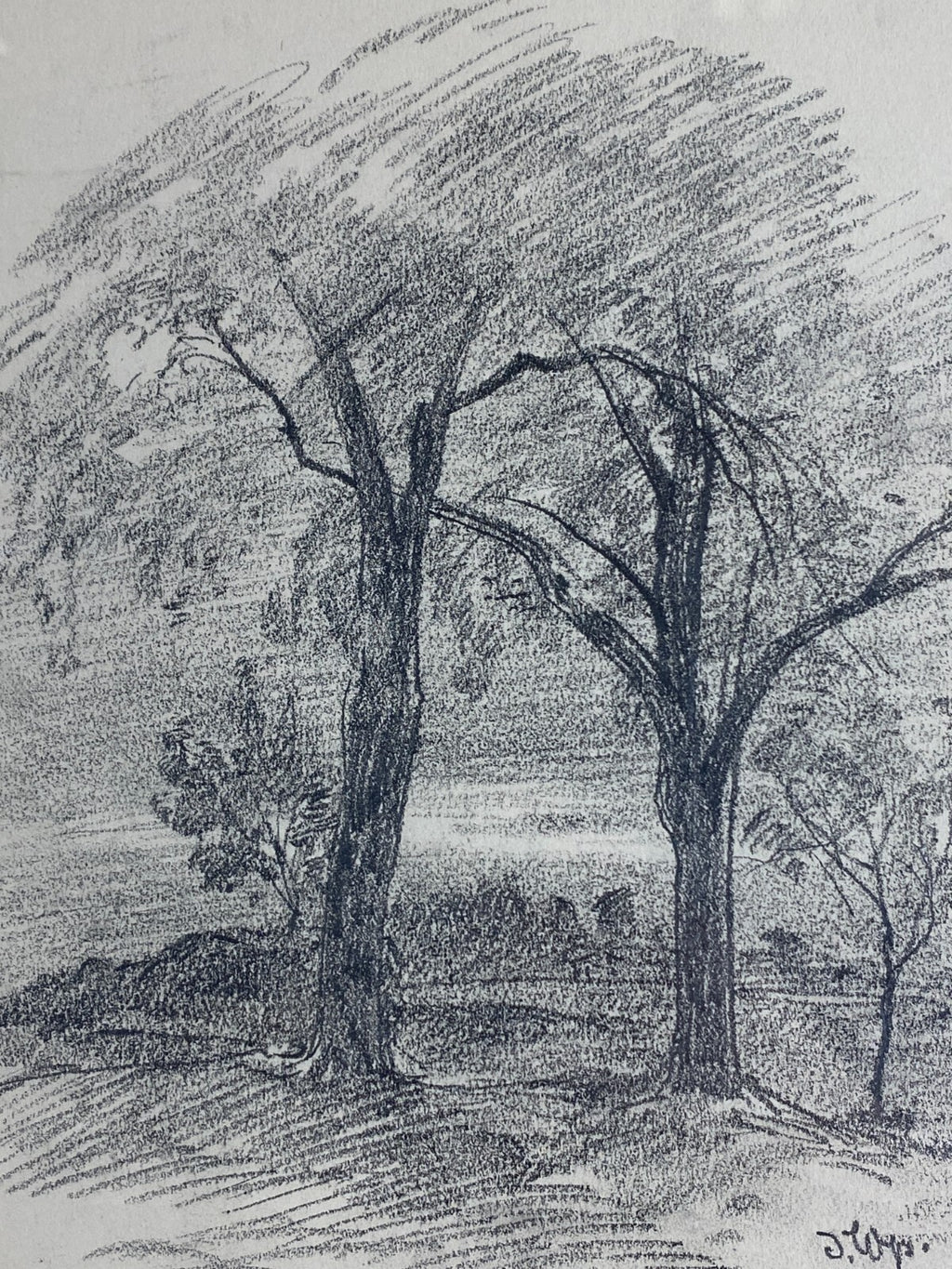 Kohlestift Zeichnung gerahmt Bäume Landschaft Josef Wopfner (1843-1927)
