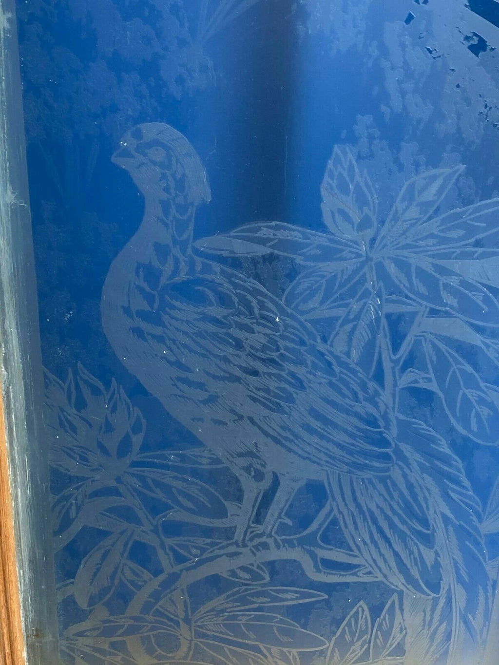 2x antike Glasscheibe Glas Fenster original um 1920 Jugendstil / Art Deco Vögel