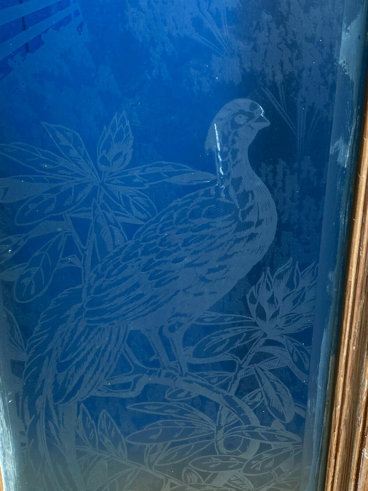 2x antike Glasscheibe Glas Fenster original um 1920 Jugendstil / Art Deco Vögel