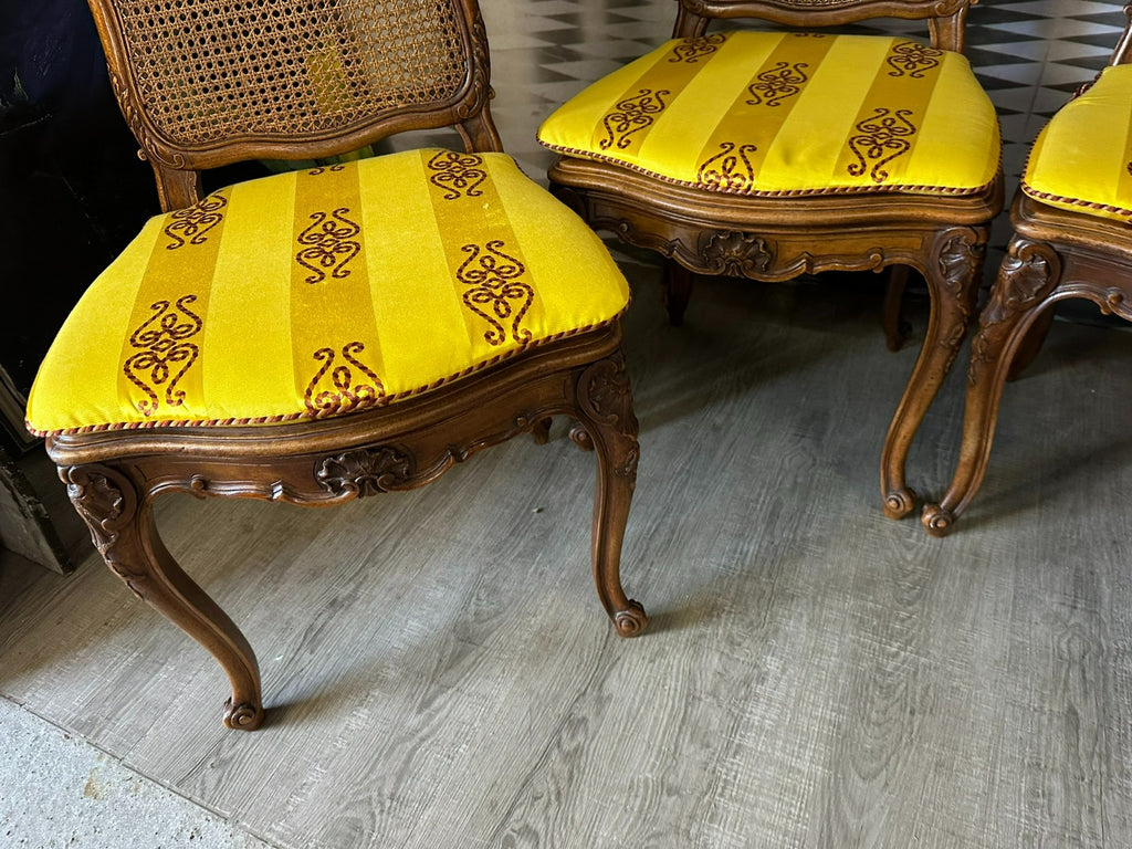 Set 4x antiker Barock Stuhl um 1880 Nussbaum Rattan Geflecht