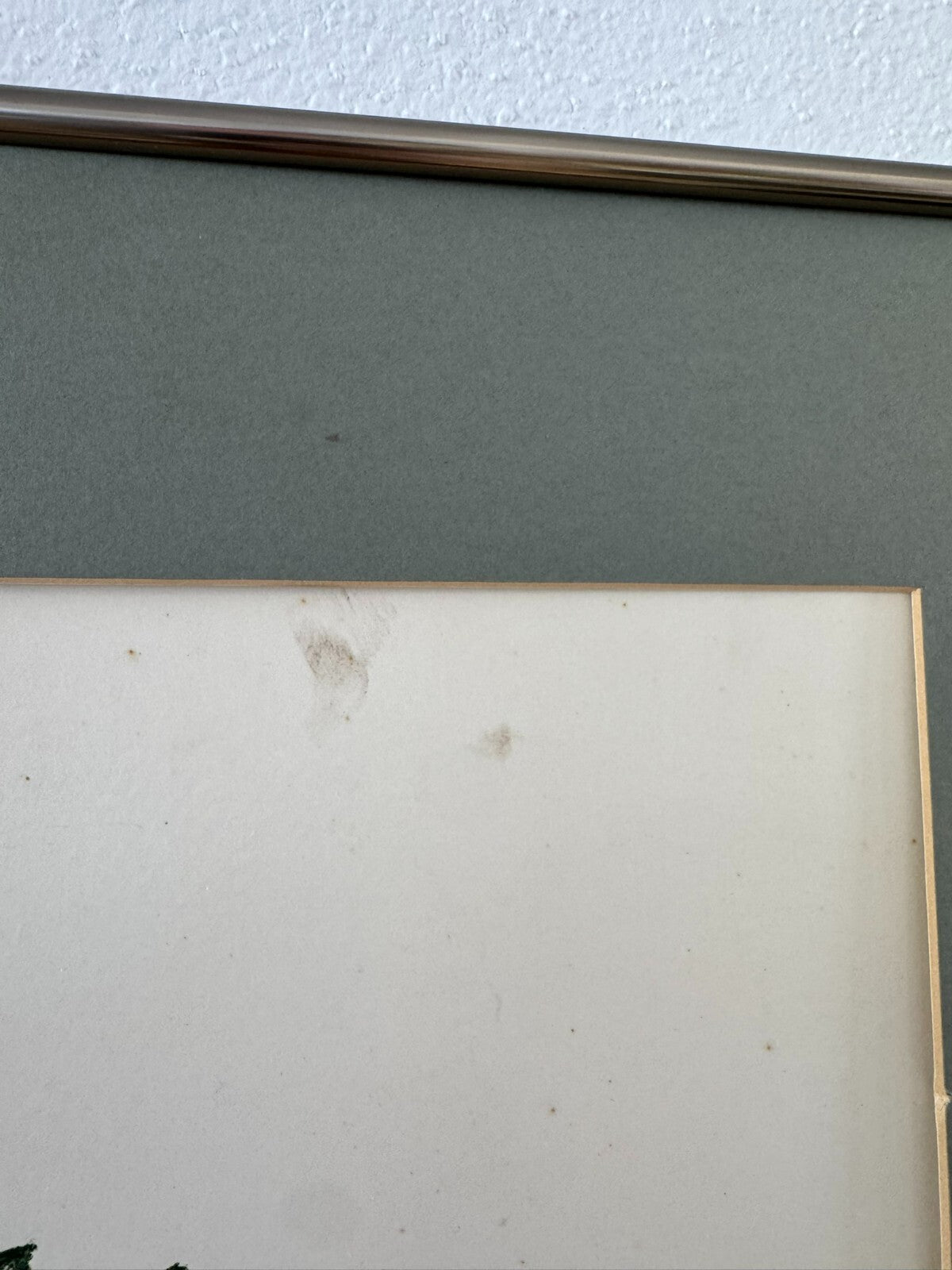 Signierte Lithografie in Passepartout gerahmt 58x100cm
