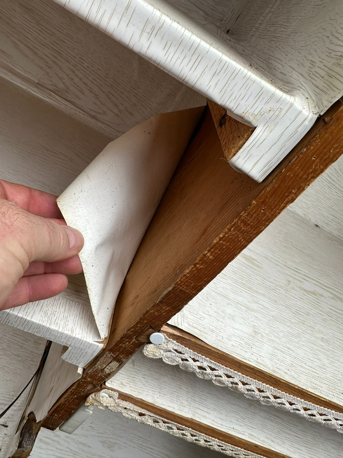 Antiker Schrank Bauernschrank handbemalt 18 tes Jhdt originale Bemalung