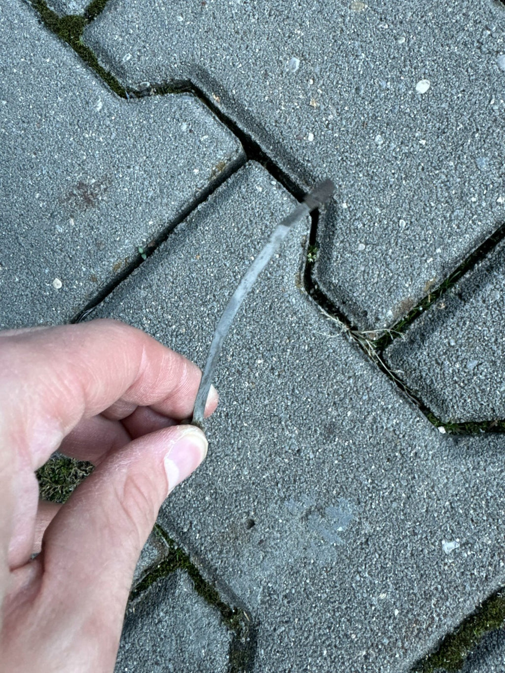 Antike Englische Standuhr aus Eiche 18 tes Jhdt