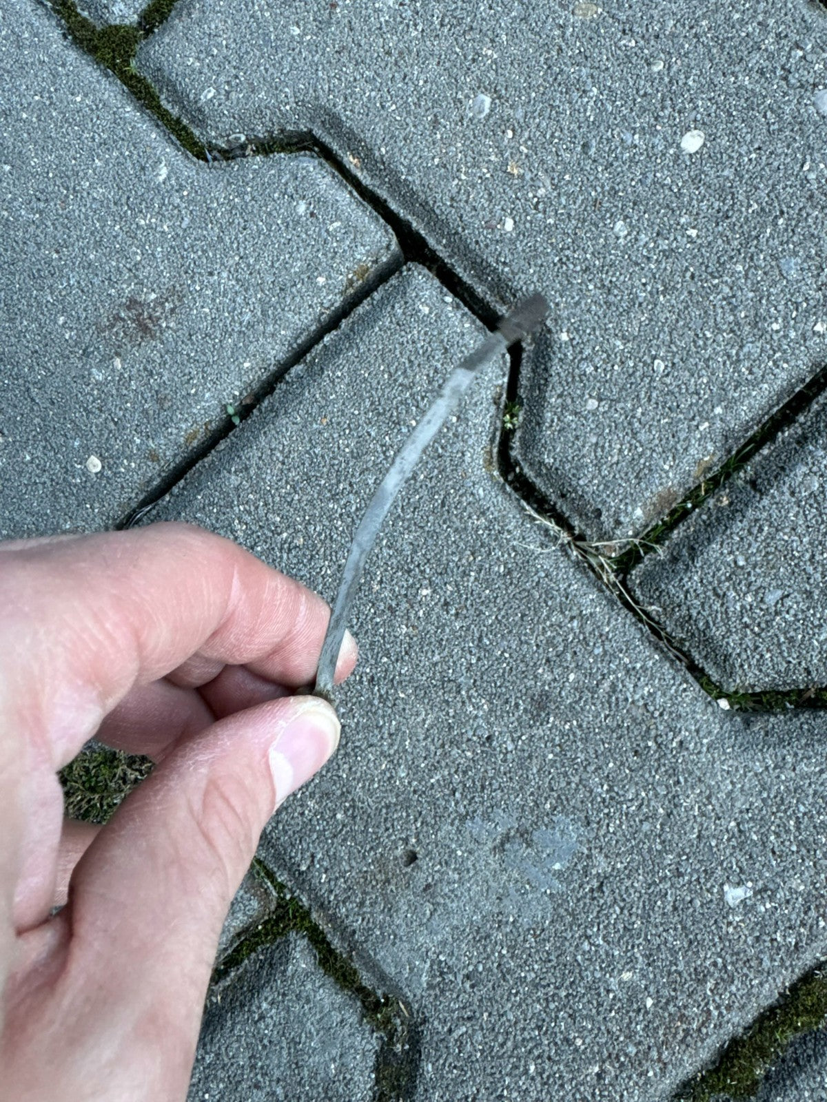 Antike Englische Standuhr aus Eiche 18 tes Jhdt