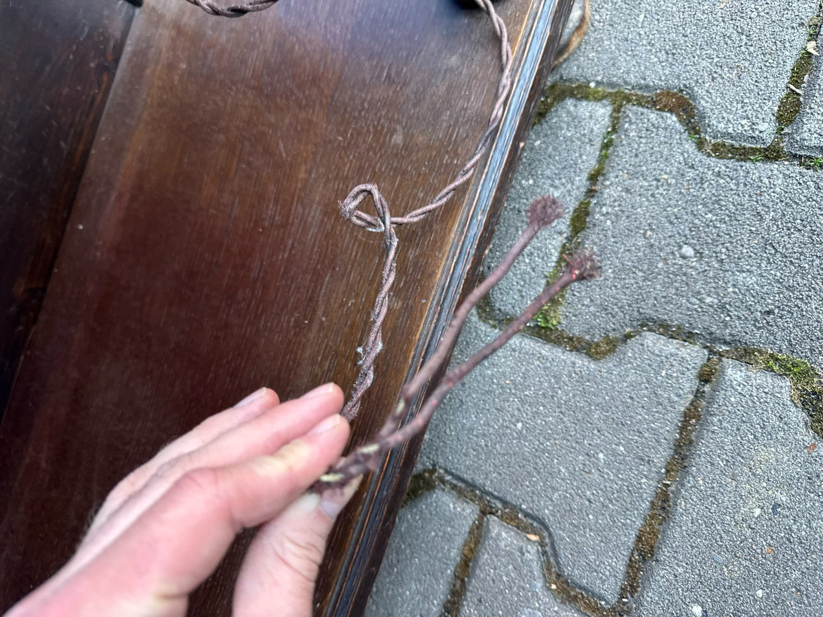 Antike Neo Renaissance Vitrine aus Eiche 19 tes Jhdt Gründerzeit Schrank