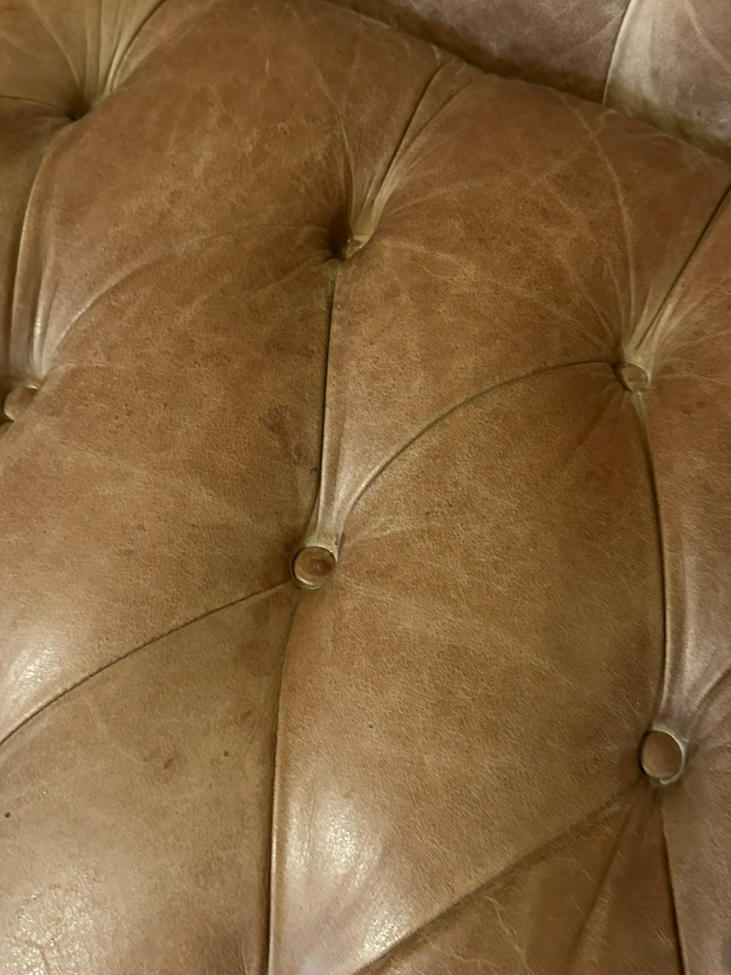 Chesterfield Couch aus Leder Sofa Gutmann Collection 1867