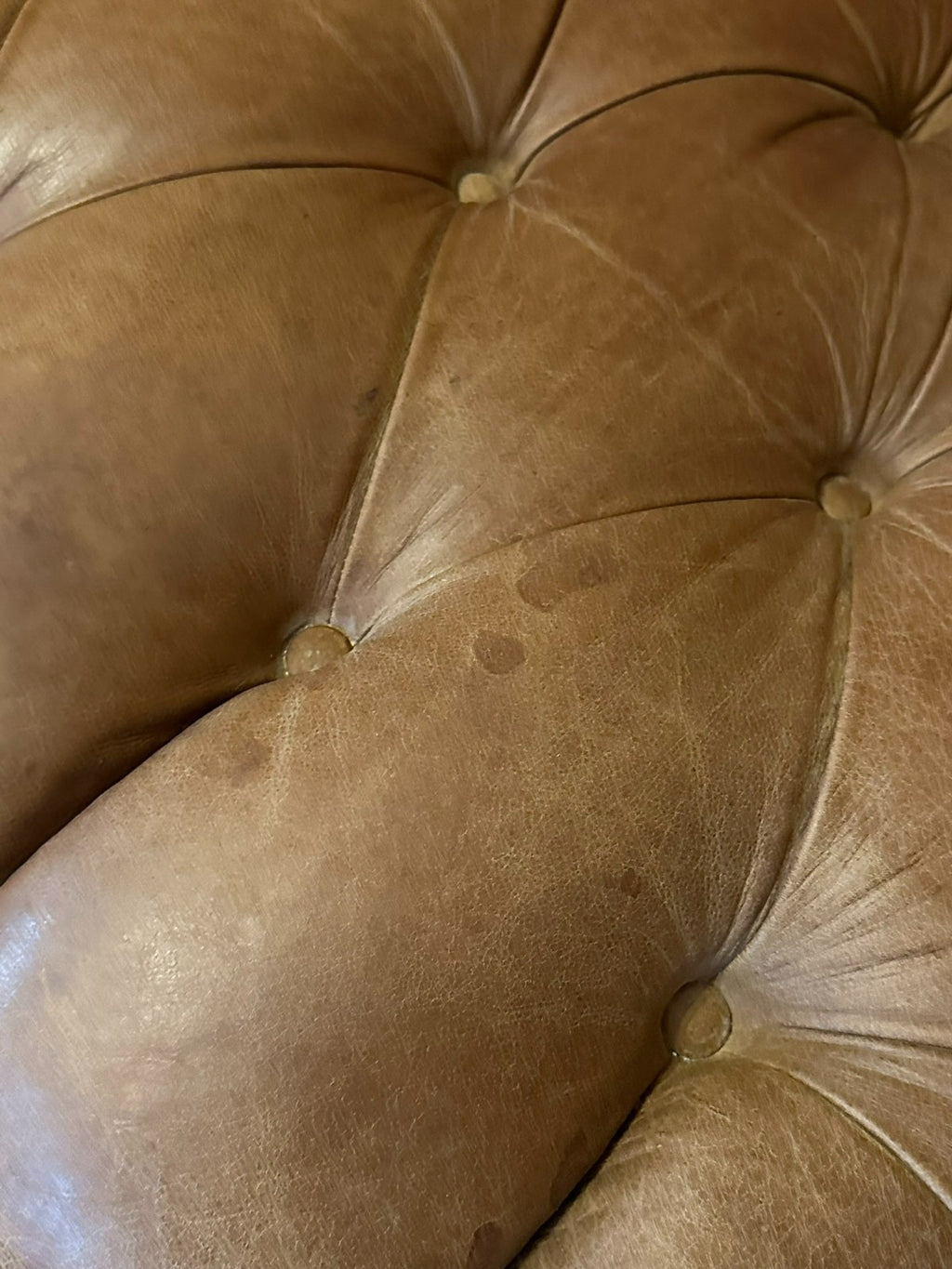 Chesterfield Couch aus Leder Sofa Gutmann Collection 1867