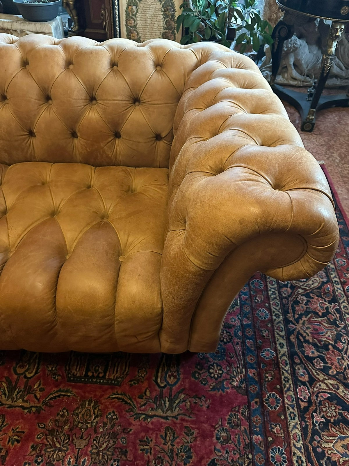 Chesterfield Couch aus Leder Sofa Gutmann Collection 1867