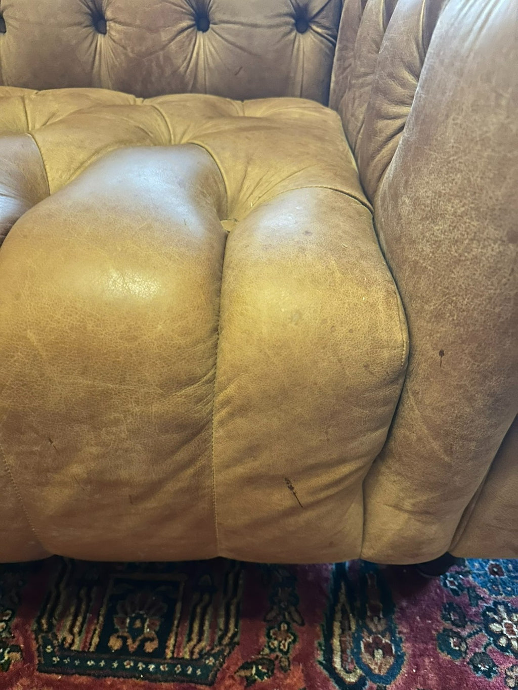Chesterfield Couch aus Leder Sofa Gutmann Collection 1867