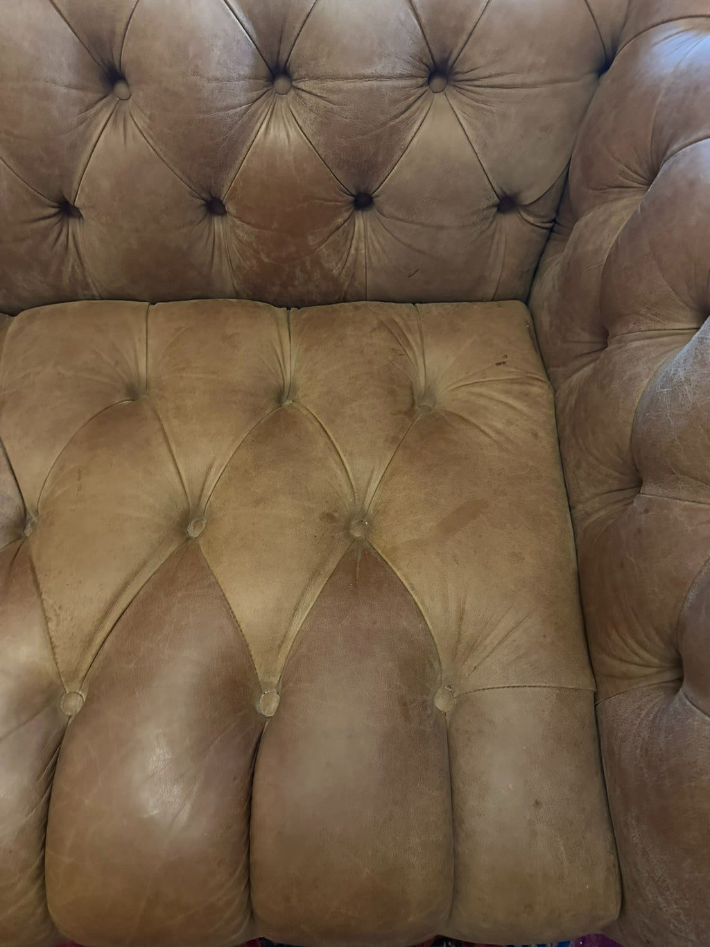 Chesterfield Couch aus Leder Sofa Gutmann Collection 1867