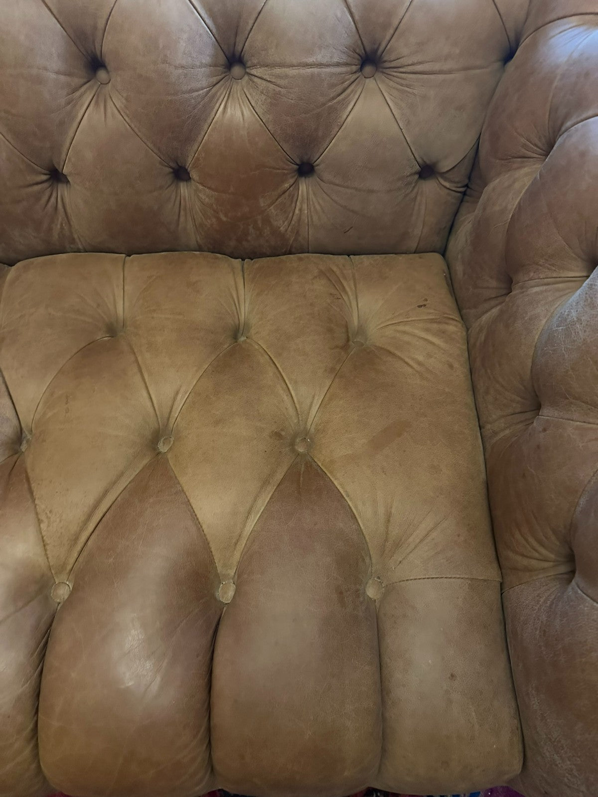 Chesterfield Couch aus Leder Sofa Gutmann Collection 1867