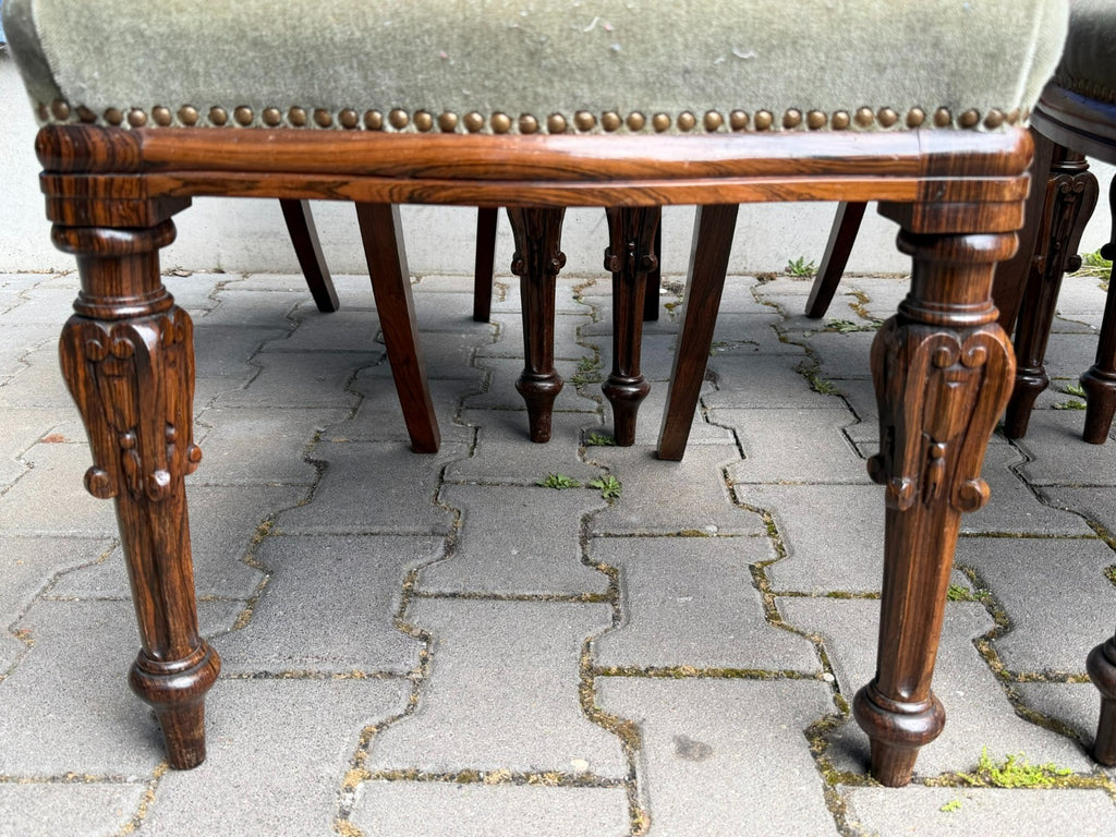 Set antike Biedermeier Stühle um 1850 Palisander Gestell - 5x antiker Stuhl