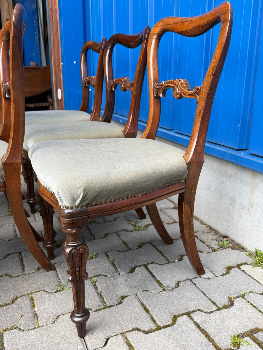 Set antike Biedermeier Stühle um 1850 Palisander Gestell - 5x antiker Stuhl