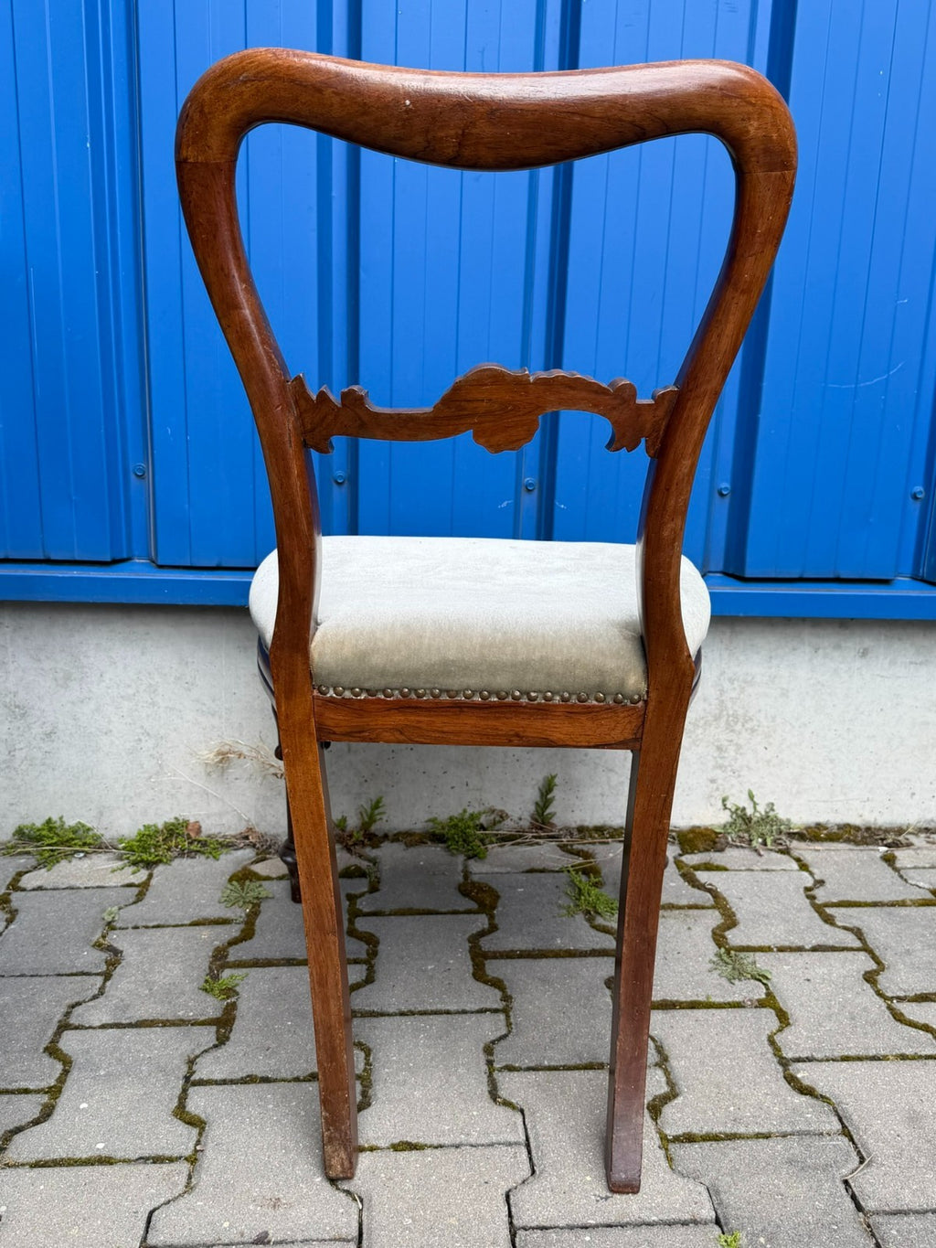 Set antike Biedermeier Stühle um 1850 Palisander Gestell - 5x antiker Stuhl