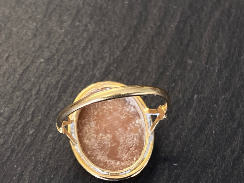 Alter Ring mit Gemme Grösse 60 Gelbgold 14kt Camee Ring Siegelring