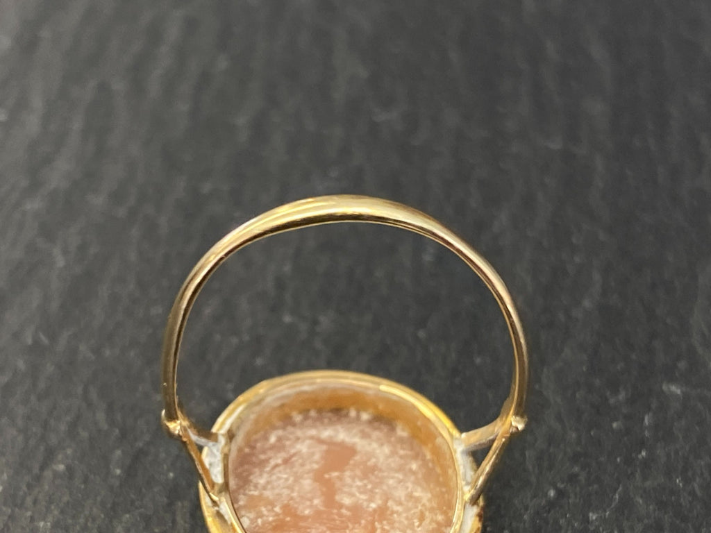 Alter Ring mit Gemme Grösse 60 Gelbgold 14kt Camee Ring Siegelring