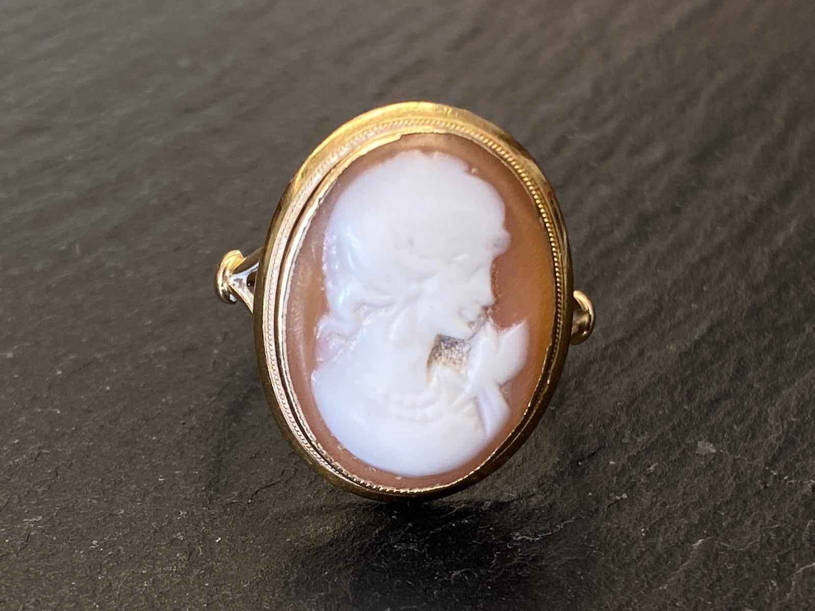 Alter Ring mit Gemme Grösse 60 Gelbgold 14kt Camee Ring Siegelring