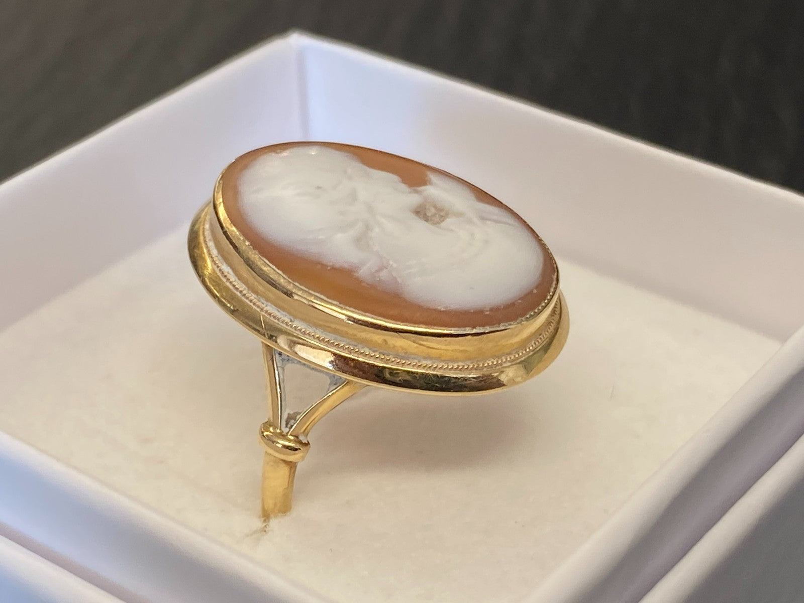 Alter Ring mit Gemme Grösse 60 Gelbgold 14kt Camee Ring Siegelring