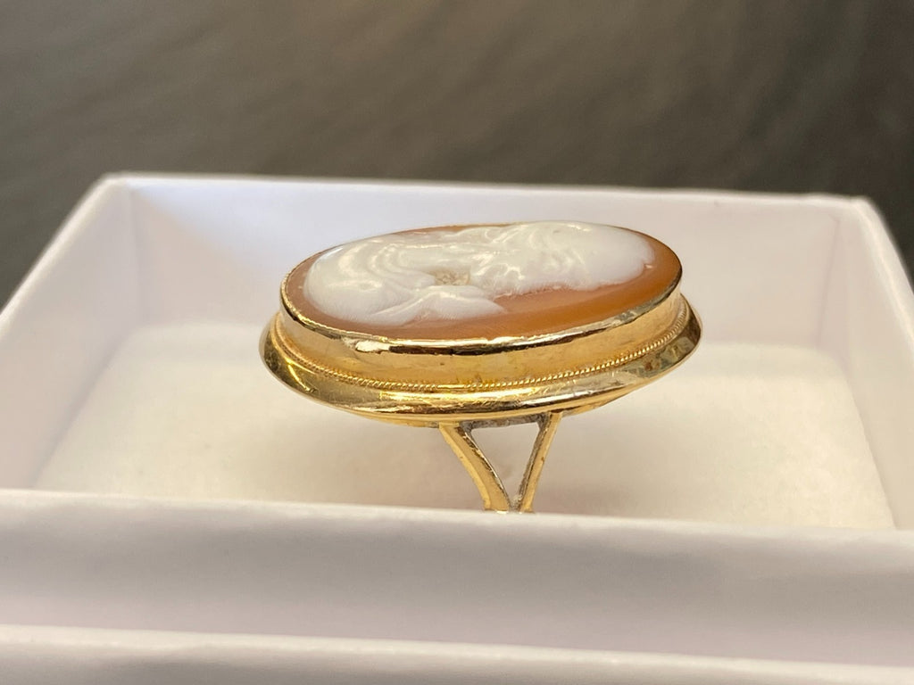 Alter Ring mit Gemme Grösse 60 Gelbgold 14kt Camee Ring Siegelring