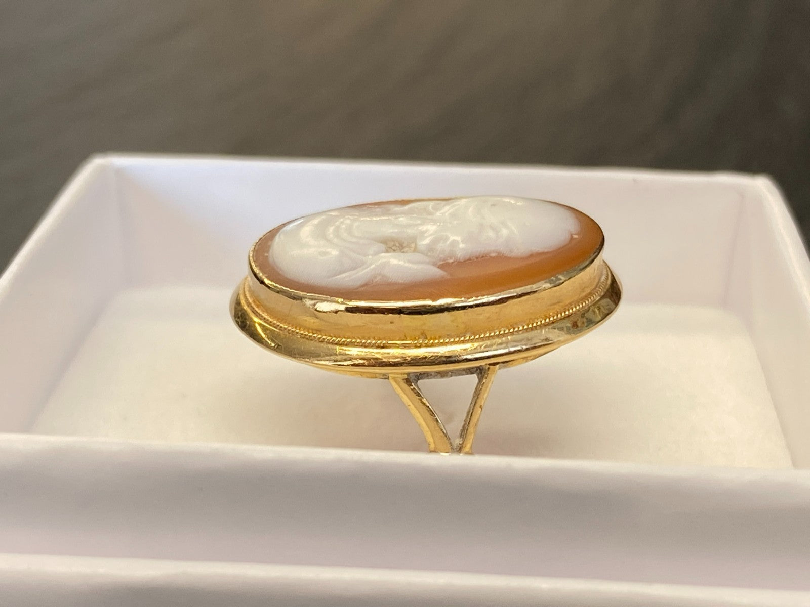 Alter Ring mit Gemme Grösse 60 Gelbgold 14kt Camee Ring Siegelring
