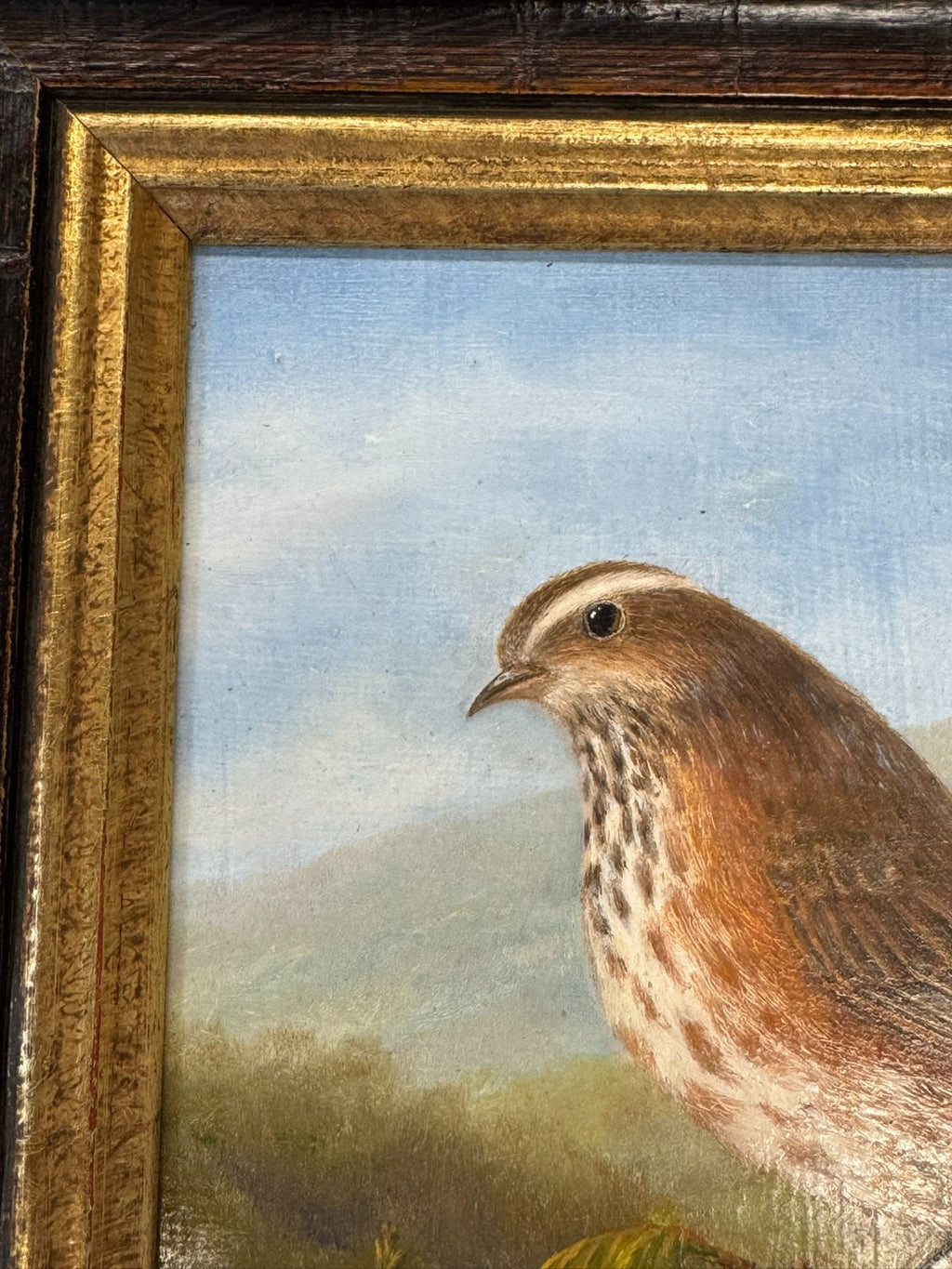 Ölgemälde Vogel auf Ast Y. Kettemann Rahmen