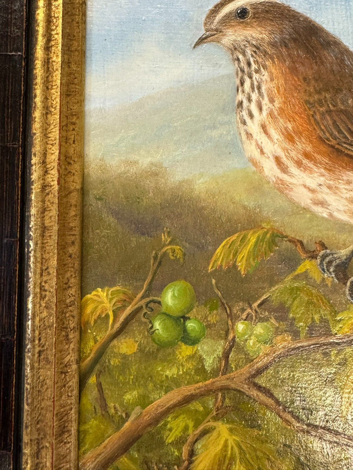 Ölgemälde Vogel auf Ast Y. Kettemann Rahmen