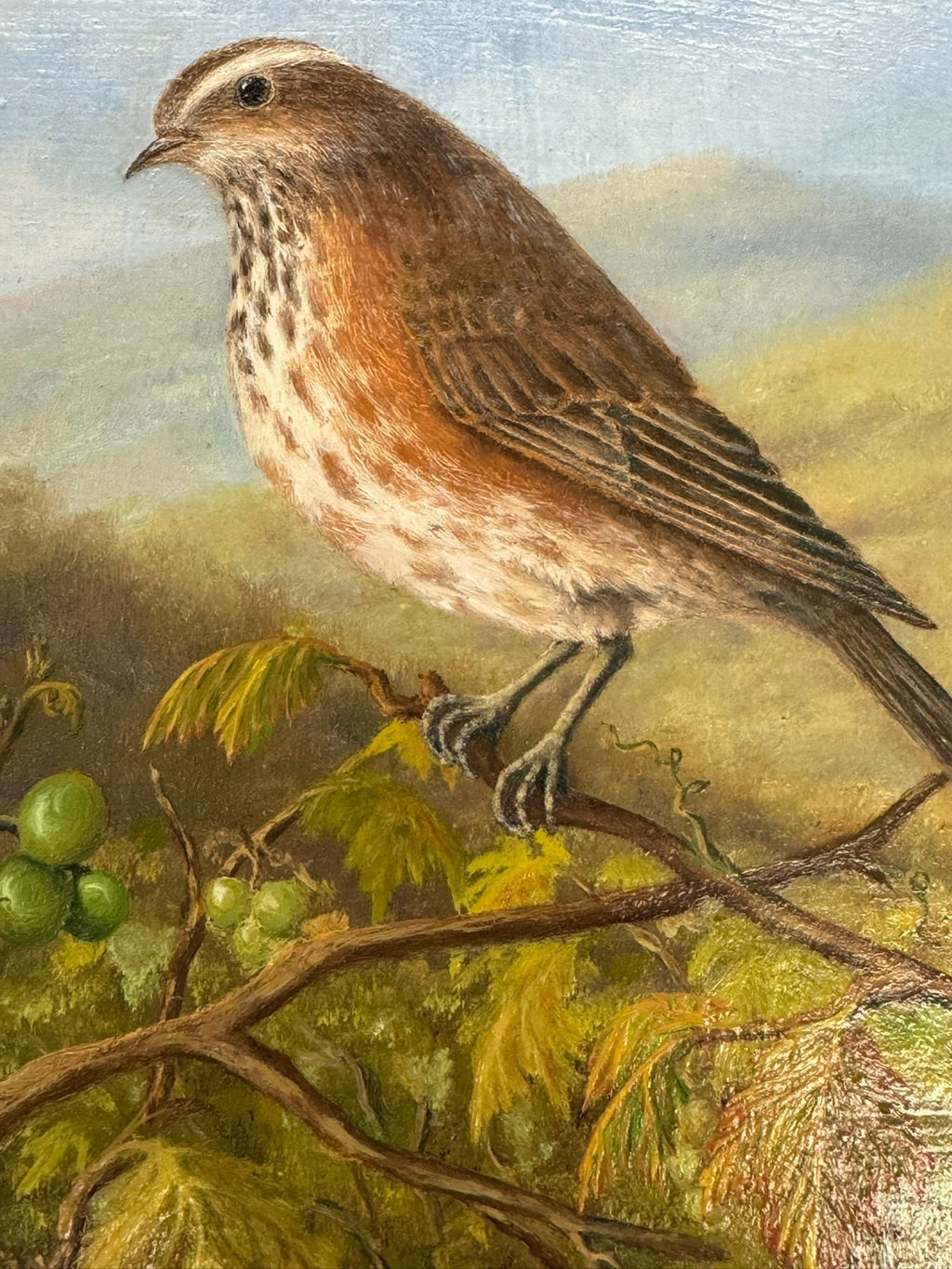 ÖLGEMÄLDE VOGEL AUF AST Y. KETTEMANN RAHMEN