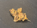 ANTIKE BROSCHE GOLD DOUBLE