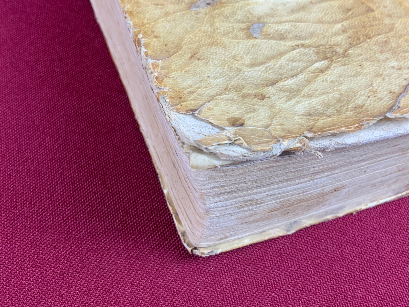 Antikes Buch von 1678 auf Latein Valerii Maximi – Bild 8