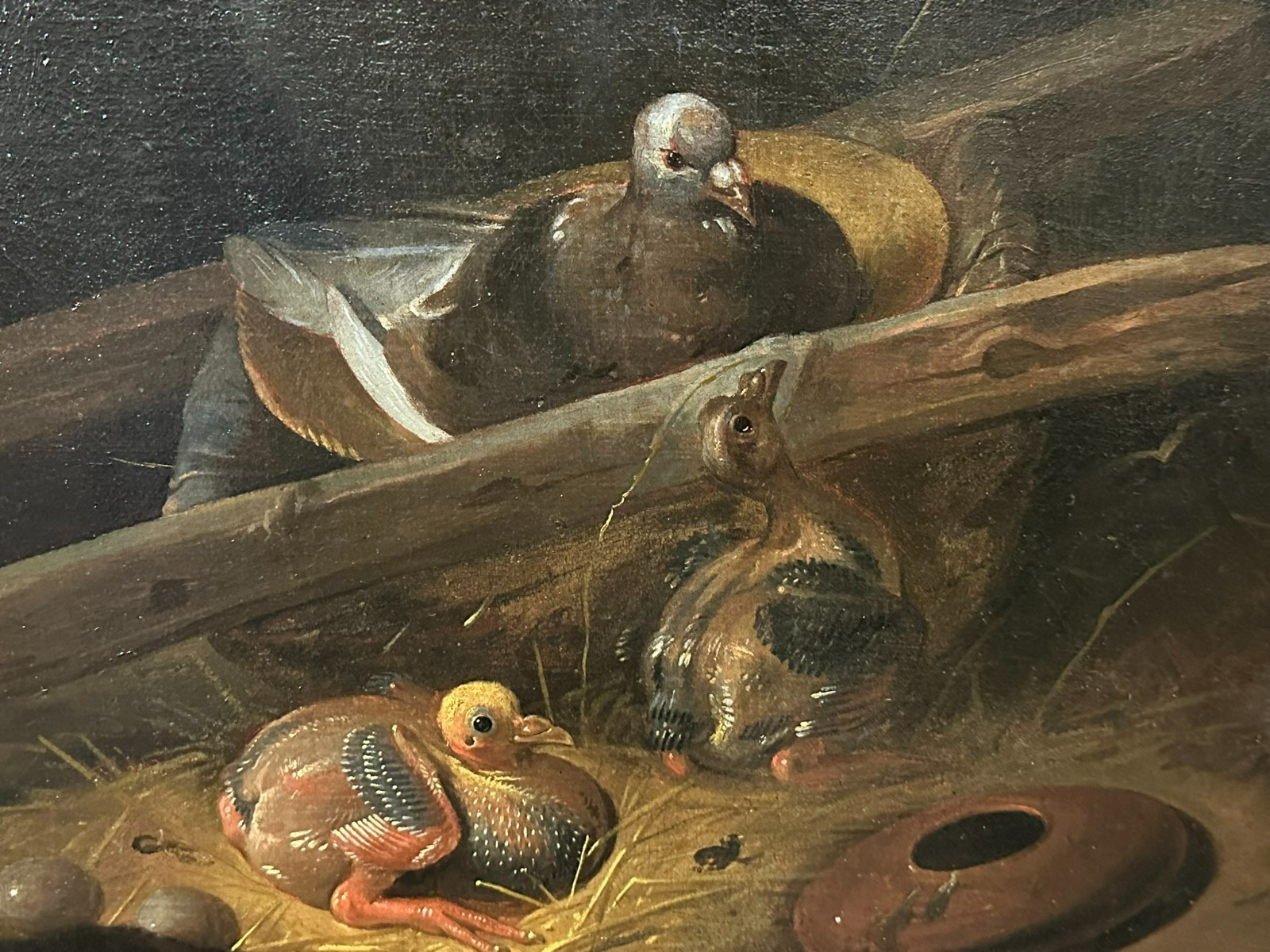 ANTIKES ÖLGEMÄLDE 17 TES JHDT TAUBE IM BRUTKASTEN STIL Jacob VAN DE KERCKHOVEN