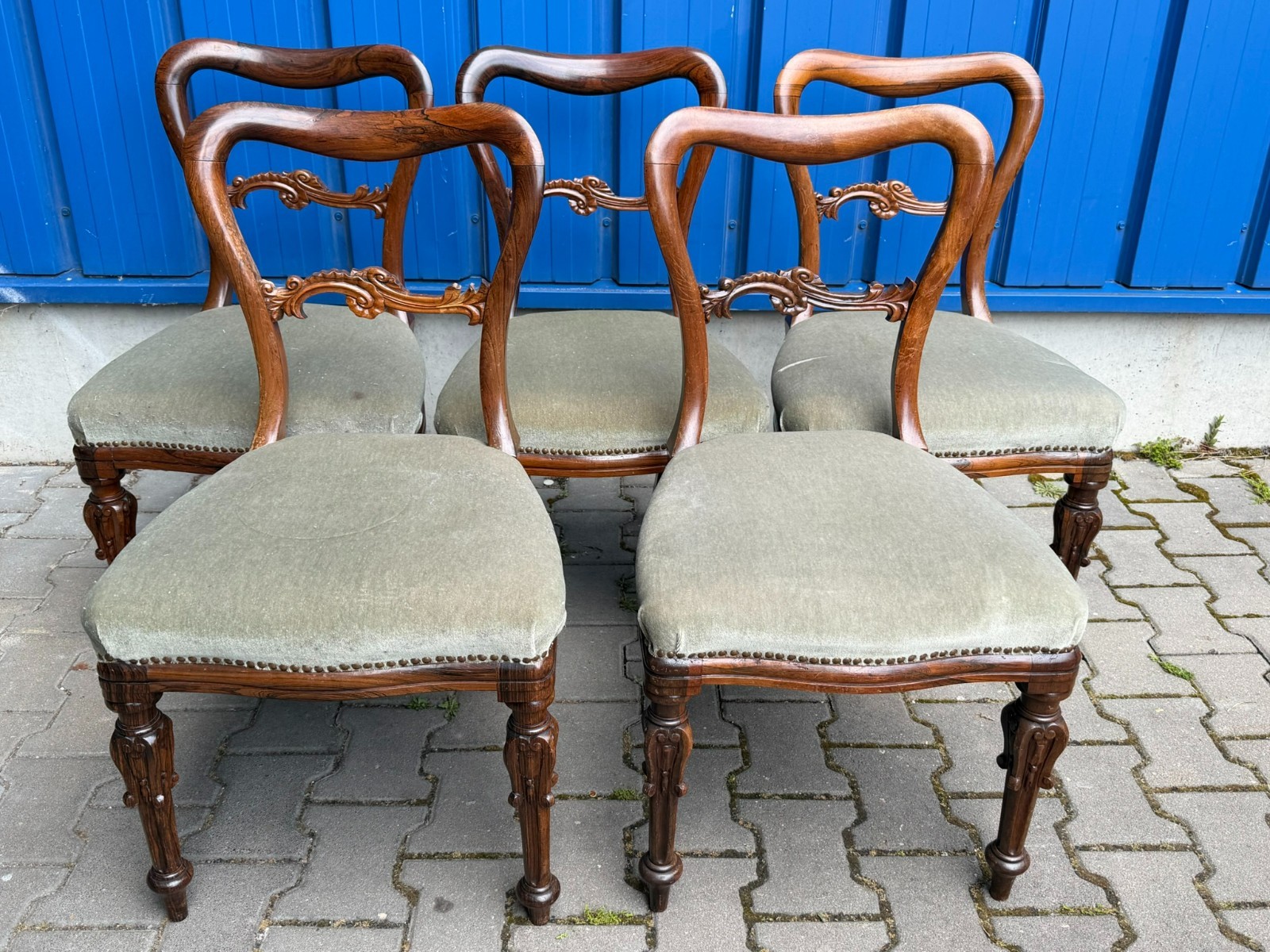 SET ANTIKE BIEDERMEIER STÜHLE UM 1850 PALISANDER GESTELL - 5x ANTIKER STUHL