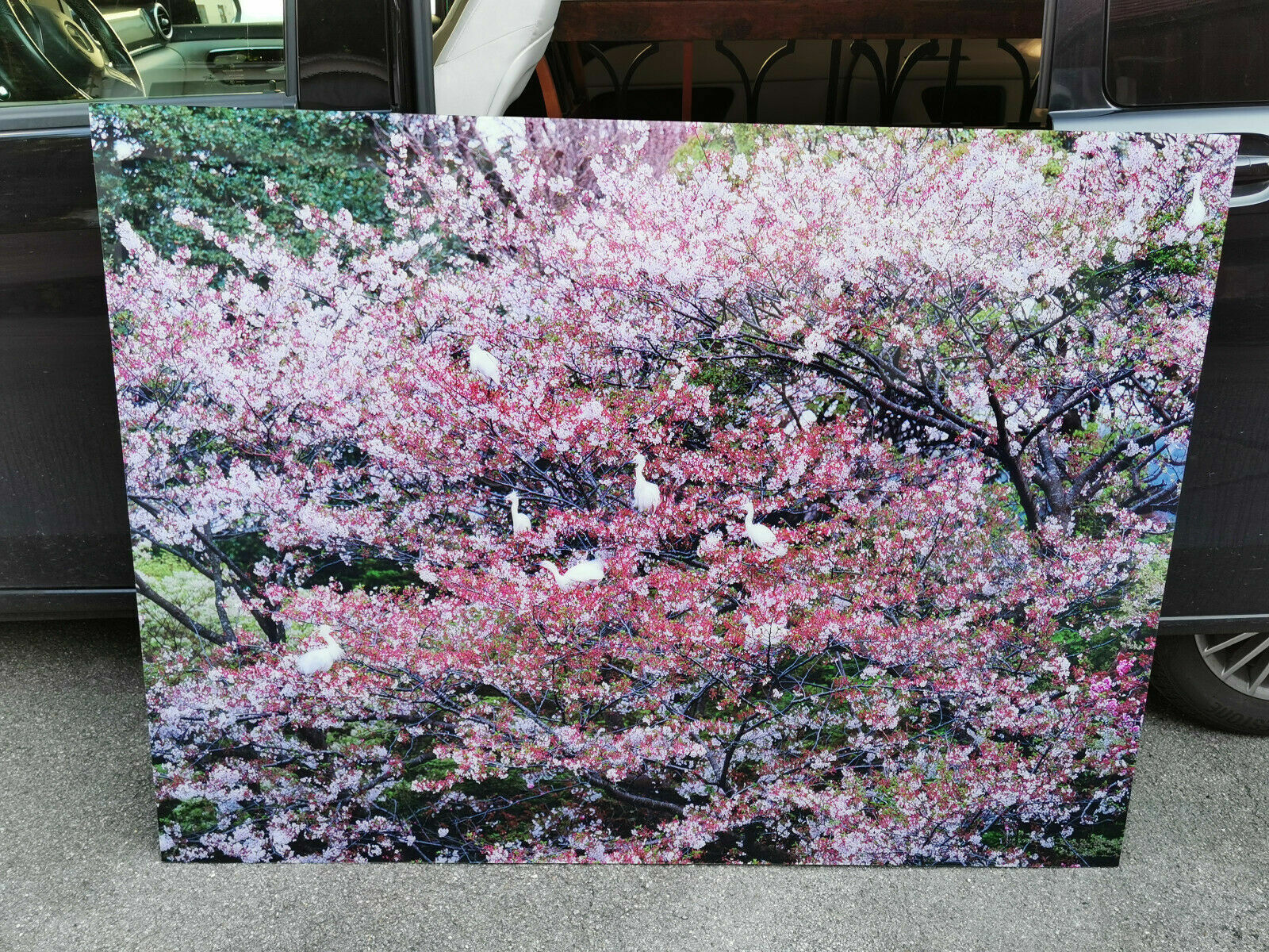 ÖLIVIER FÖLLMI KAMAKURA ASIAN SPIRIT LAMBDA PRINT ACRYL Nr 20/100 XXL 160x120cm – Bild 3