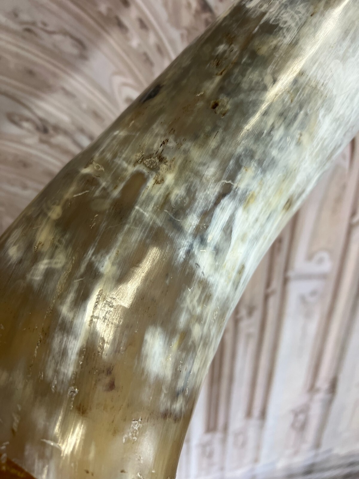 LONGHORN STIER SCHÄDEL IN LEDER BEZOGEN AUF EDELSTAHL GESTELL 225cm ex TRUSSARDI – Bild 13