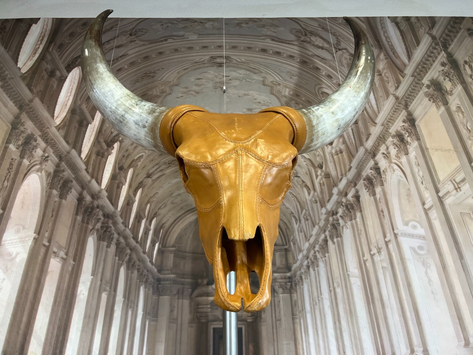 LONGHORN STIER SCHÄDEL IN LEDER BEZOGEN AUF EDELSTAHL GESTELL 225cm ex TRUSSARDI – Bild 7