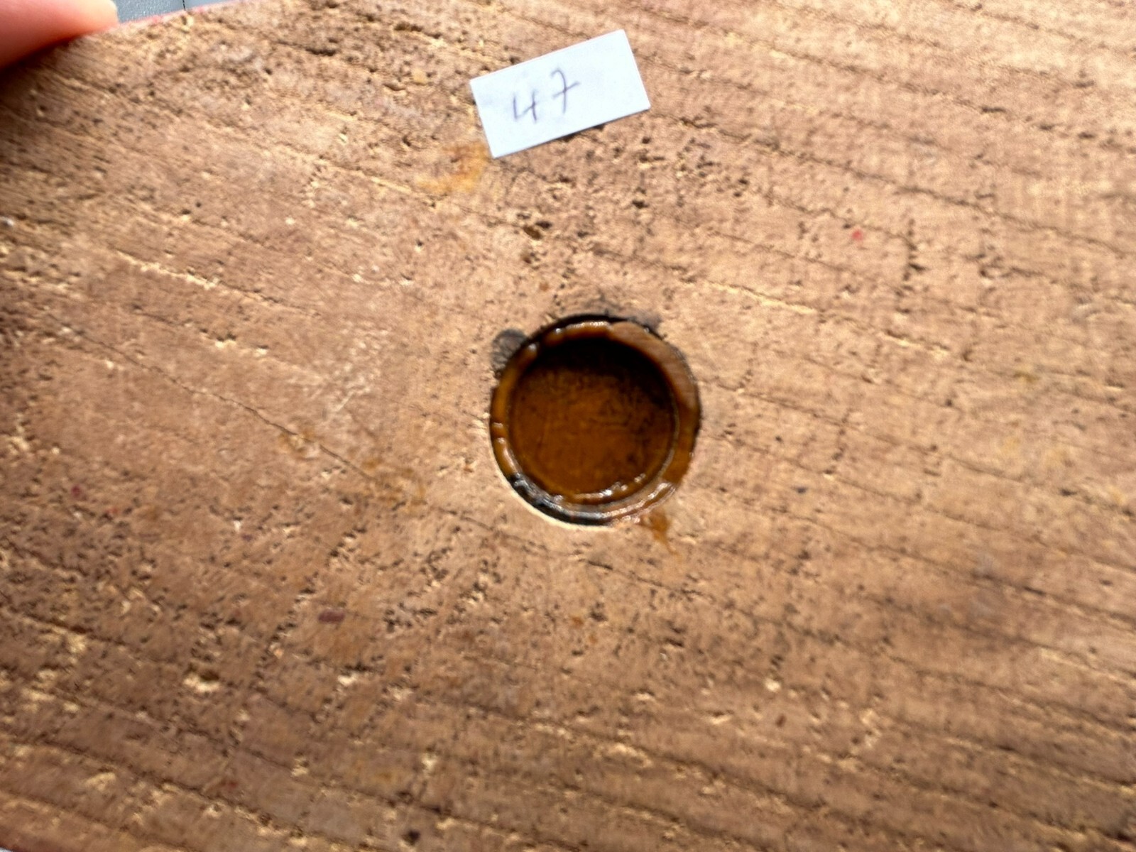 51cm GROSSE HEILIGE ELISABETH HEILIGENFIGUR AUS HOLZ HANDGESCHNITZT UND GEFASST – Bild 11