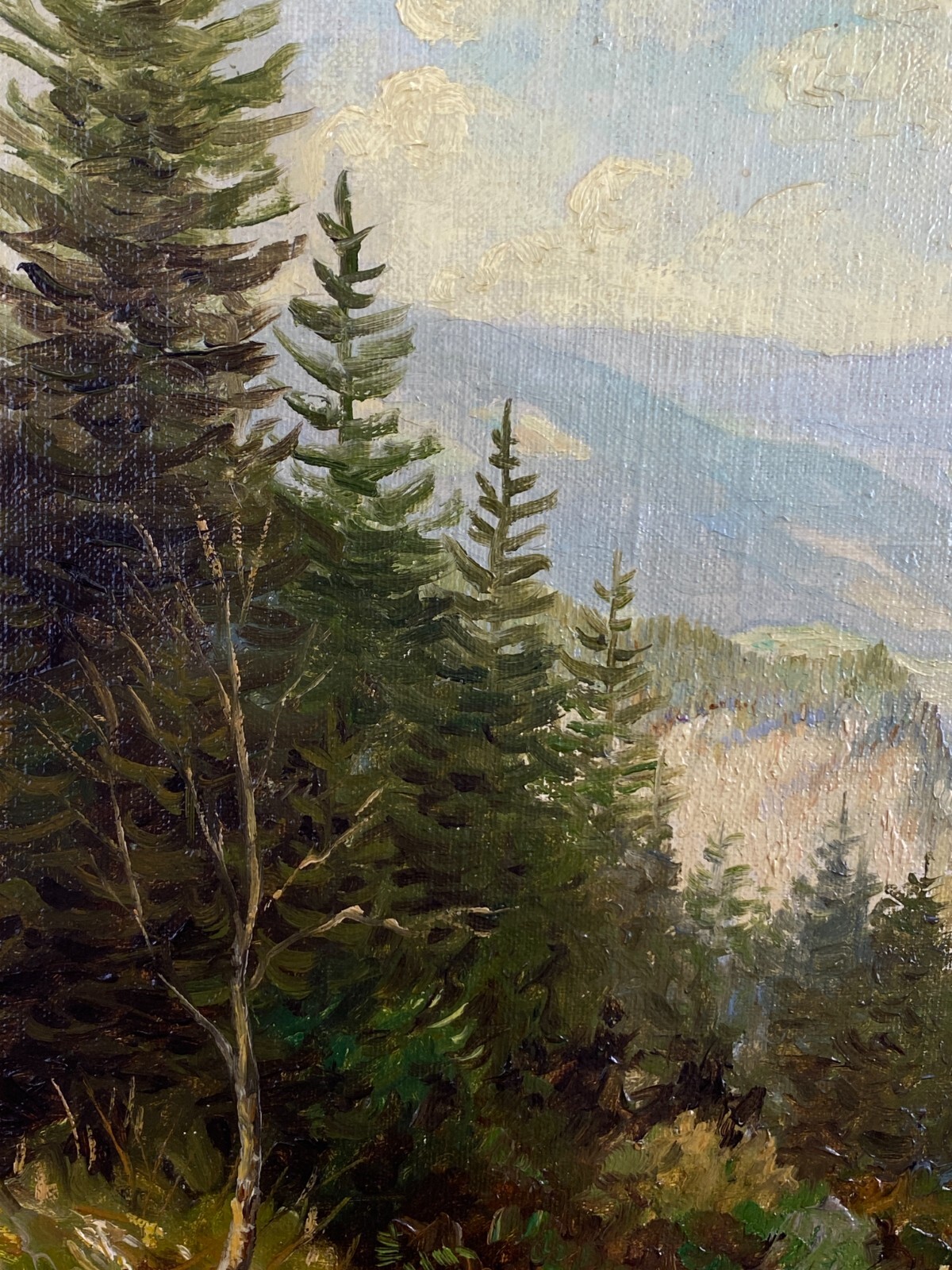 ÖLGEMÄLDE LANDSCHAFT VOR GEBIRGE GEMÄLDE GERAHMT SIGNIERT J. SCHINDLER 1959 – Bild 4