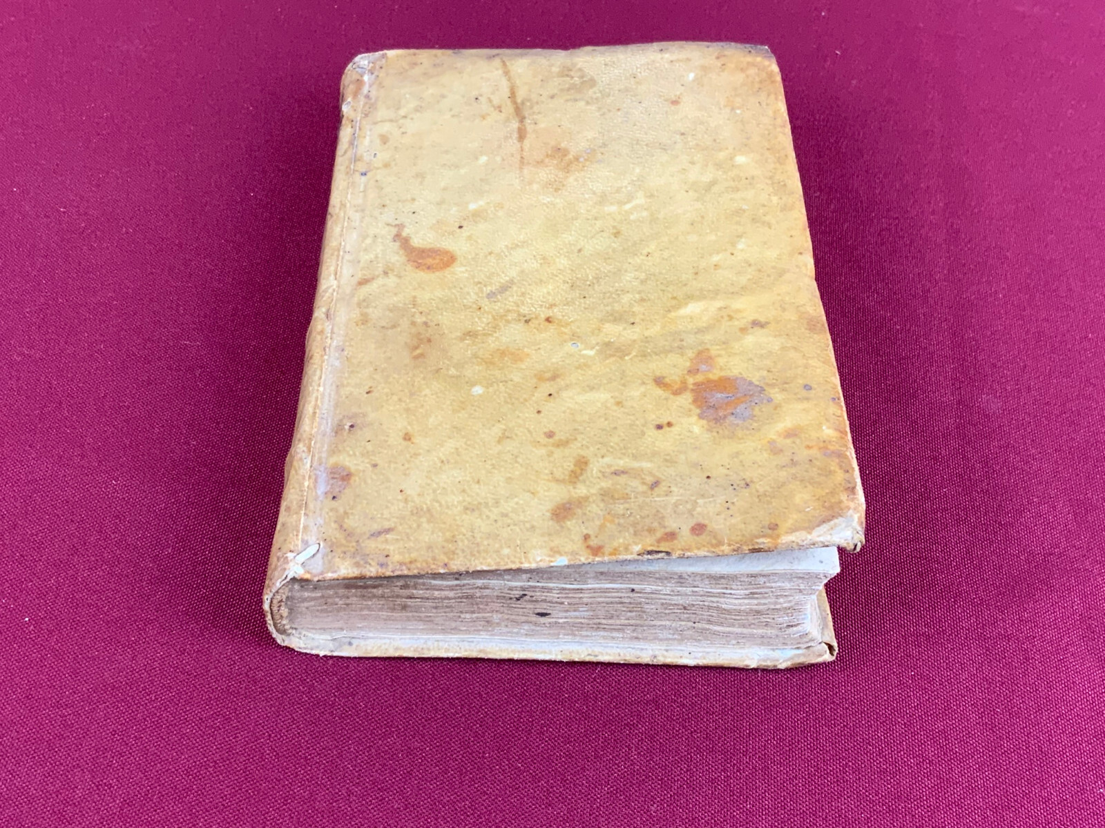 Antikes Buch von 1676 auf Latein De Officio Cvrati – Bild 12