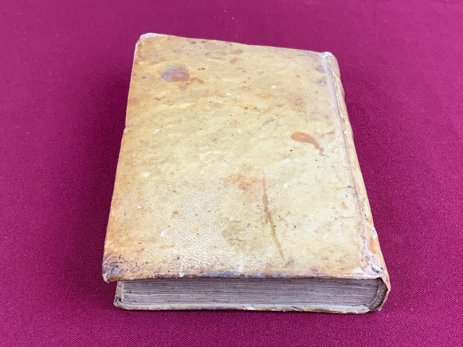 Antikes Buch von 1676 auf Latein De Officio Cvrati – Bild 15