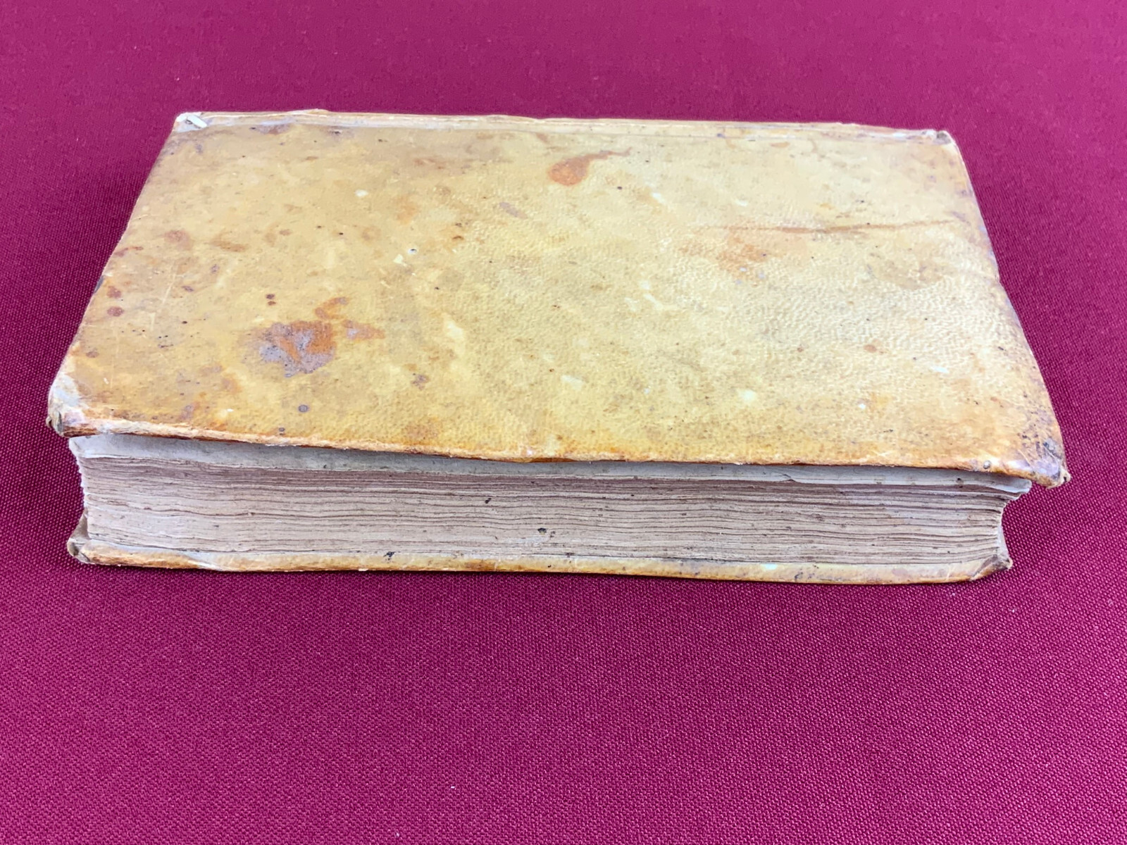 Antikes Buch von 1676 auf Latein De Officio Cvrati – Bild 16